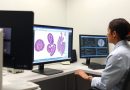 Agilent Announces Strategic Acquisition of Digital Pathology Company Proscia for $240 Million